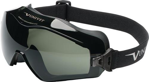 Vollsichtschutzbrille 6x3